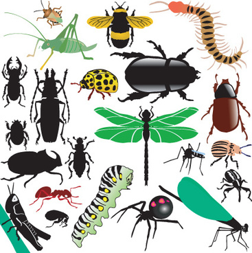 367x368 Free Vector Insects Free Vector Download (720 Free Vector) For