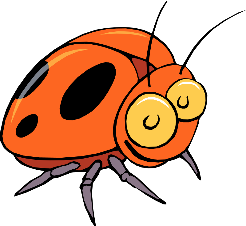 800x734 Insect 16 Free Vector 4vector