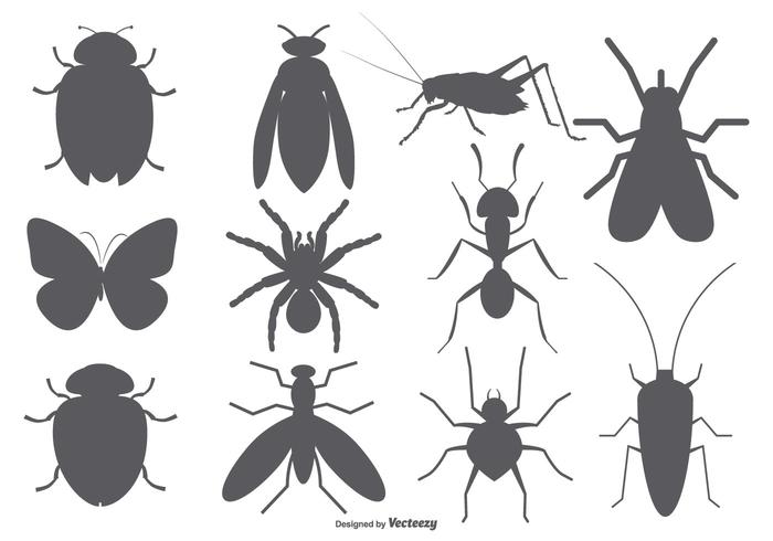 700x490 Insect Vector Shapes