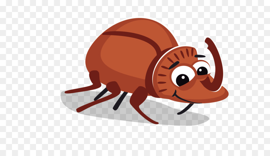 900x520 Beetle Bugs Bunny Cartoon Drawing