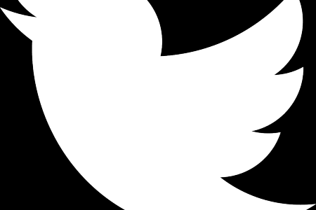 450x300 Collection Of Free Twitter Vector Logowhite. Download On Ubisafe