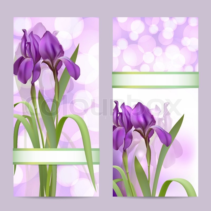 800x800 Set Of Spring Banners With Purple Iris Flowers Stock Vector