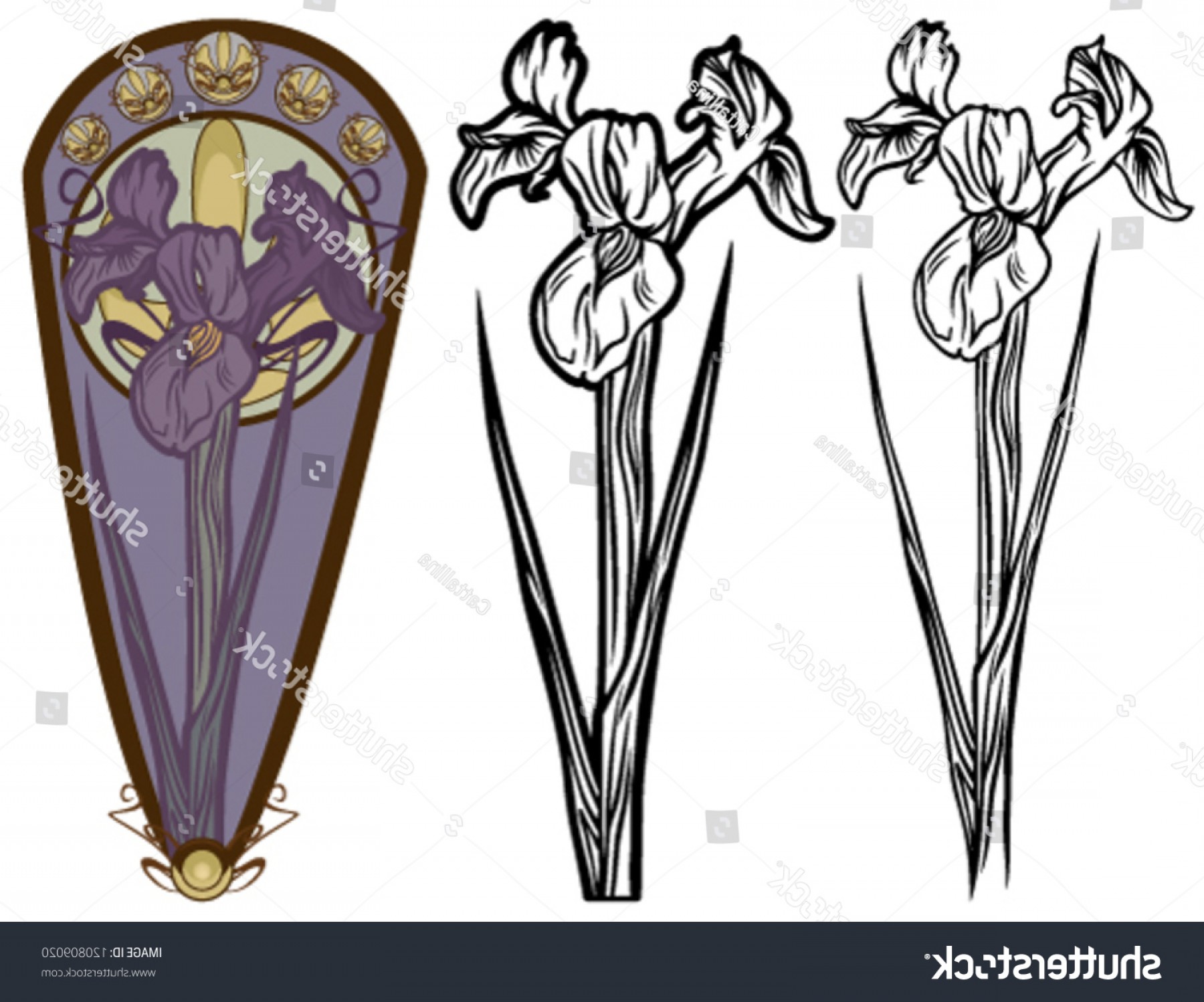 1800x1498 Art Nouveau Style Iris Flower Vector Createmepink
