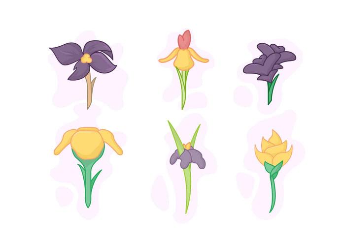 700x490 Free Beautiful Iris Flower Vector