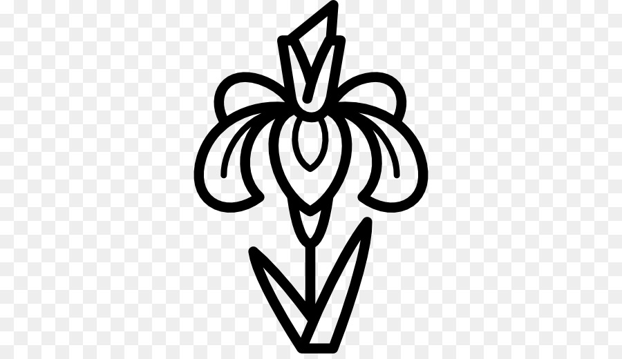 900x520 Computer Icons Flower