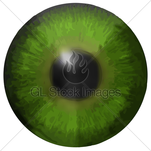 500x500 Eye Iris Vector Texture Gl Stock Images