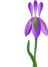 166x233 Free Camera Iris Vector Art Free Vectors Ui Download