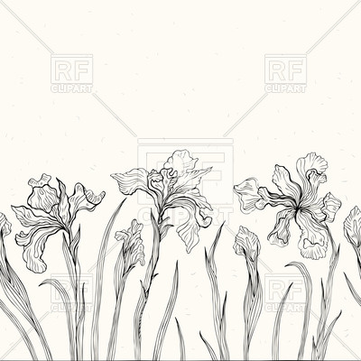 400x400 Sketch Of Flowers Iris Vector Image Vector Artwork Of Objects