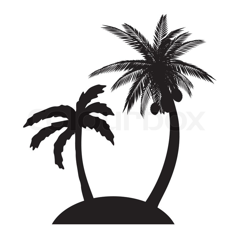 800x800 Island And Palms