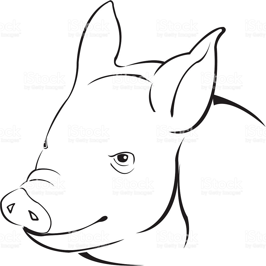 1024x1024 Suddenly Simple Pig Drawing Stock Vector Art M