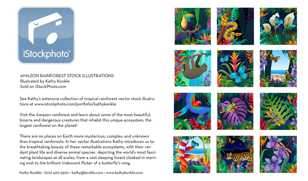 1000x588 Vector Illustration Kathy Konkle