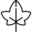 128x128 Ivy Leaves Vectors, Photos And Psd Files Free Download