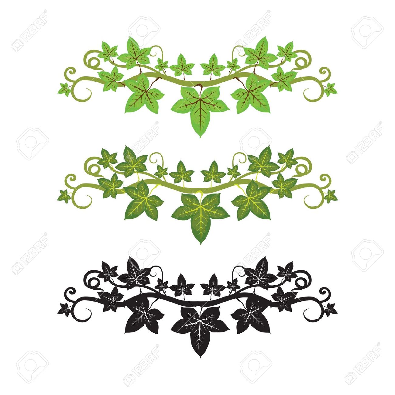 1300x1300 Ivy Leaves Clipart