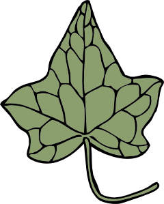 240x299 Oak Ivy Leaf Clip Art