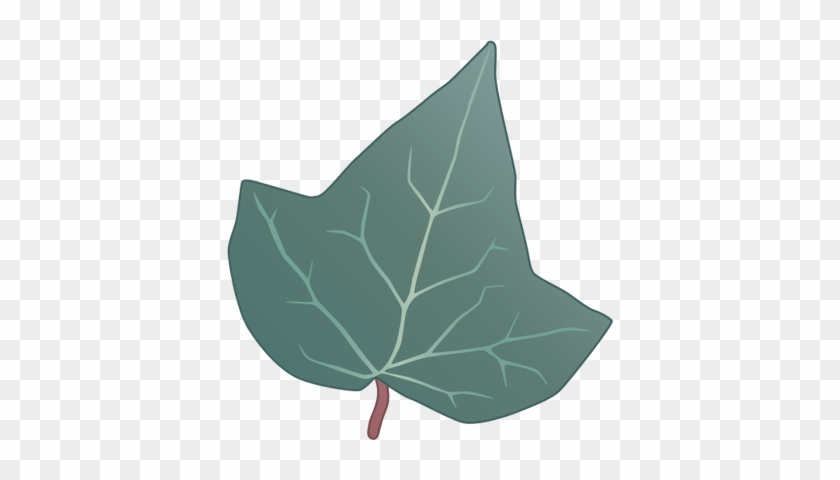 840x480 Drawn Leaf Ivy Leaf