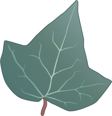 386x400 Drawn Leaf Ivy Leaf