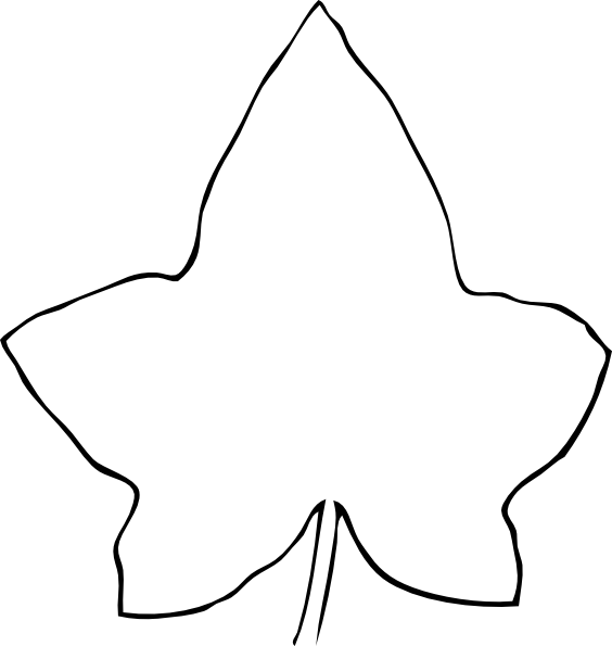 564x595 Ivy Clipart Big Leaf