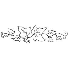 236x236 Ivy Clipart Drawn