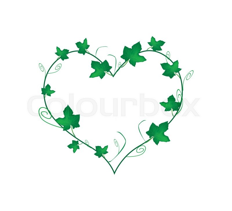 800x727 Love Concept, Illustration Of Heart Shape Frame Made Of Fresh