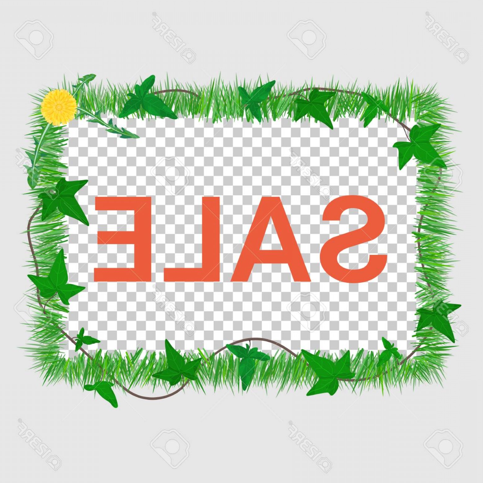 1560x1560 Photostock Vector Sale Poster Grass Border With Dandelion And Ivy