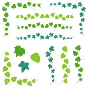 300x300 Royalty Free Stock Photos Vine Abstract Background Green Leaves