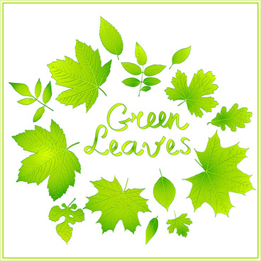 368x368 Shiny Green Leaves Vector Background Png Images, Backgrounds And