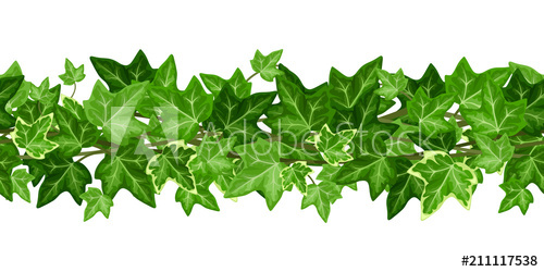 500x250 Vector Horizontal Seamless Garland With Green Ivy Leaves On A