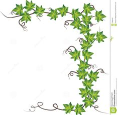 235x230 Vector Illustration Of Borders With Ivy Leaves Gran Vetores