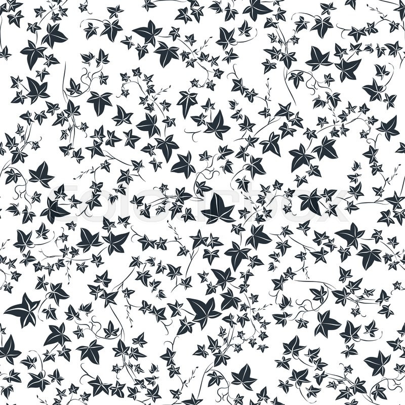 800x800 Black And White Doodle Ivy Leaves. Vector Illustration. Seamless