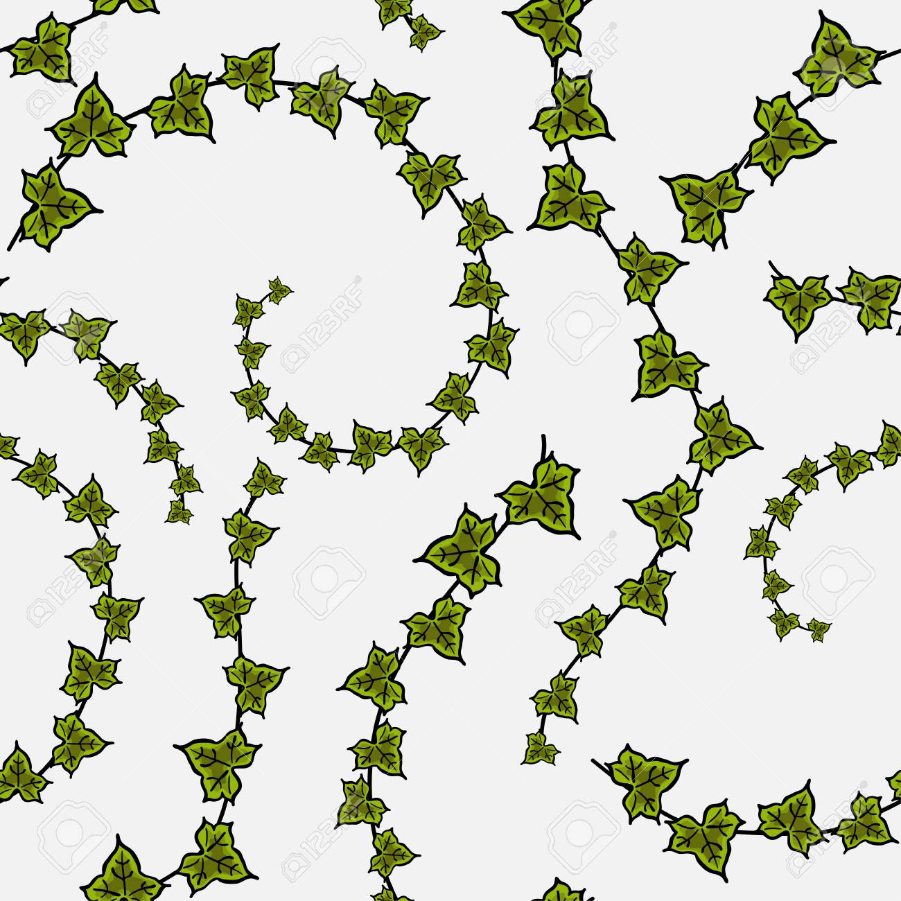 1300x1300 Drawn Ivy Vector