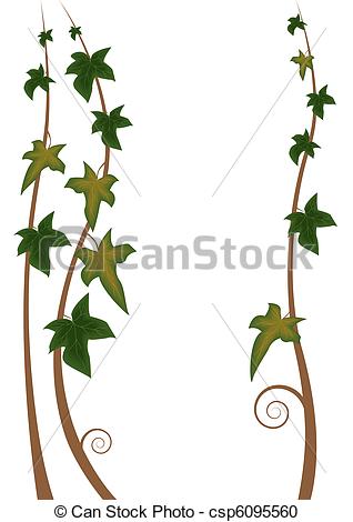 318x470 Illustration Of The Stalks Of Ivy.