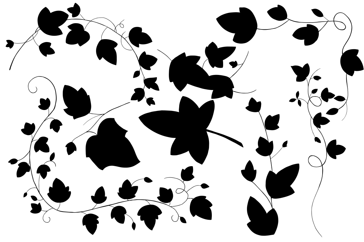 1160x772 Ivy Vector Illustrations By Mwashburn Design