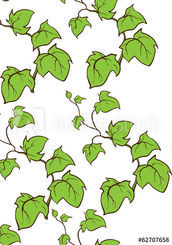 351x500 Ivy Vector Hand Drawn Vertical Seamless Pattern