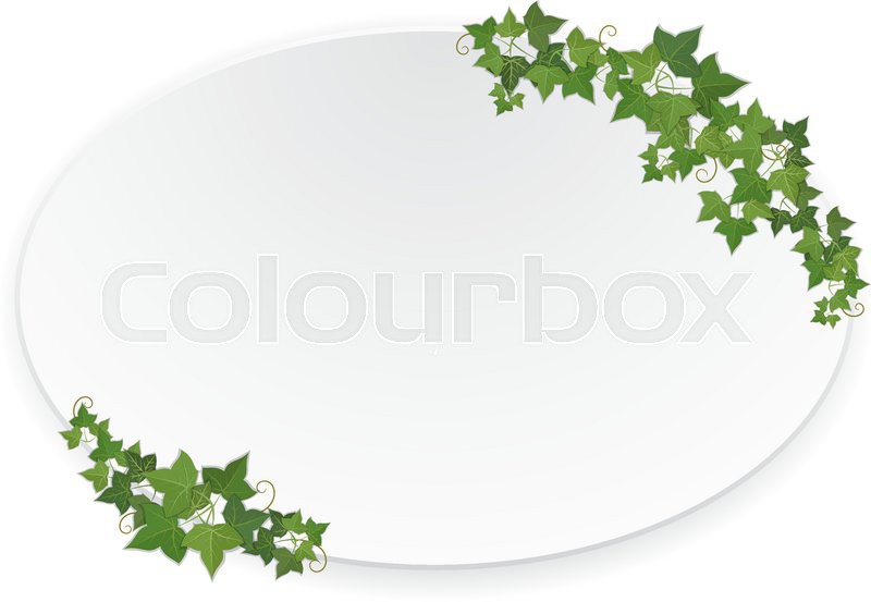 800x553 Paper Ellipse Banner Decorated Hanging Ivy Stock Vector Colourbox