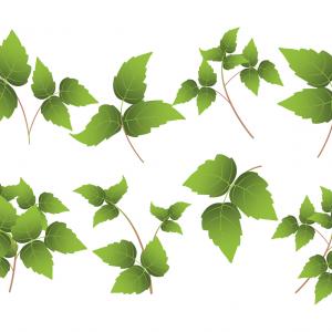 300x300 Vector Round Frame Made Hand Drawn Orangiausa