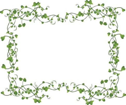 487x404 Decorative Ivy Vine Name Vines Frame Vector Borostyan