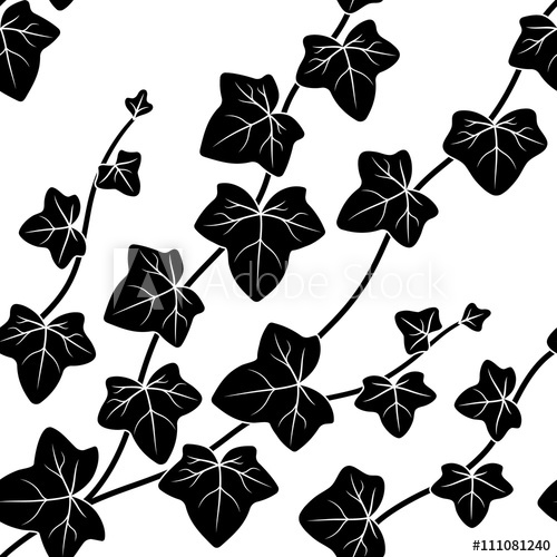 500x500 Vector Illustration, Seamless Pattern, Decorative Black And White