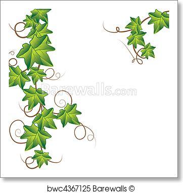362x382 Art Print Of Green Ivy . Vector Illustration Barewalls Posters
