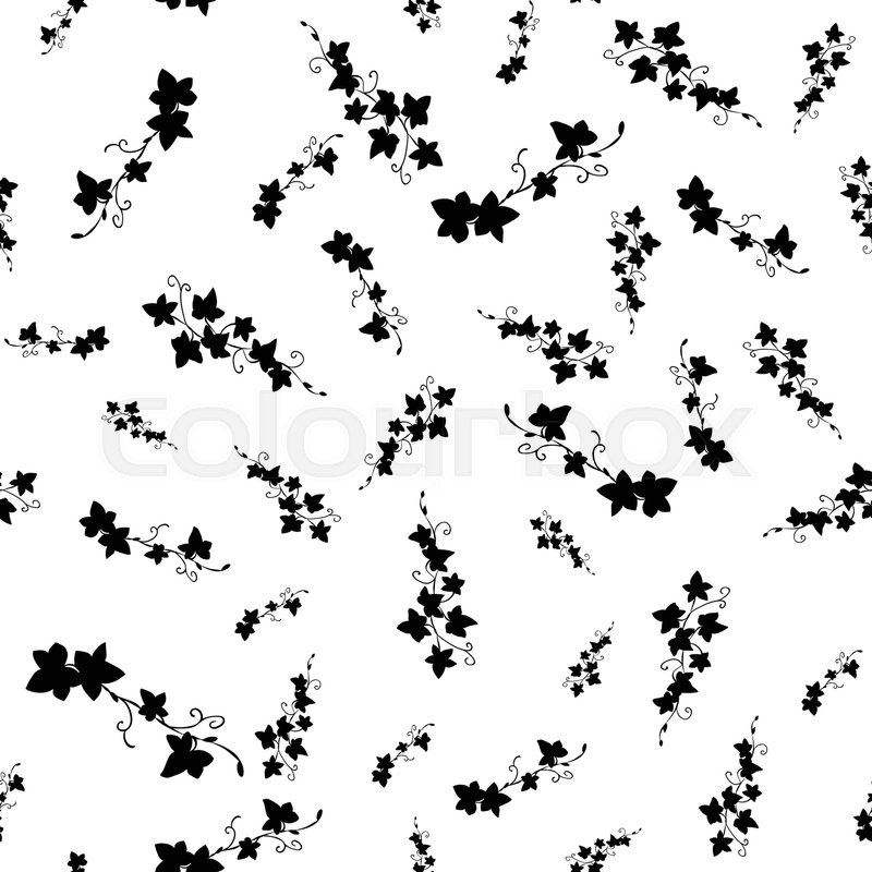 800x800 Black And White Doodle Ivy Leaves. Vector Illustration. Seamless
