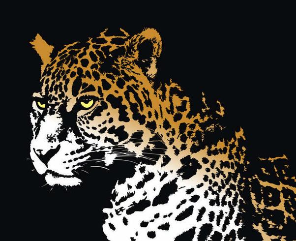 602x490 Jaguar Vector Free Vector Art