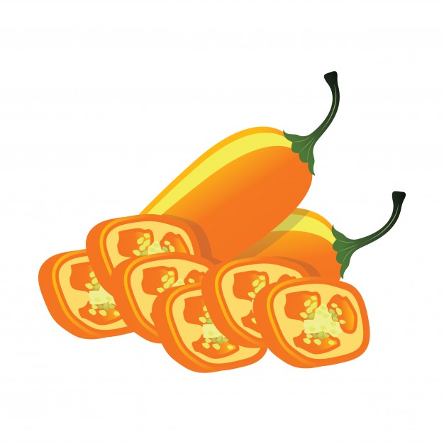 626x626 Jalapeno Vectors, Photos And Psd Files Free Download