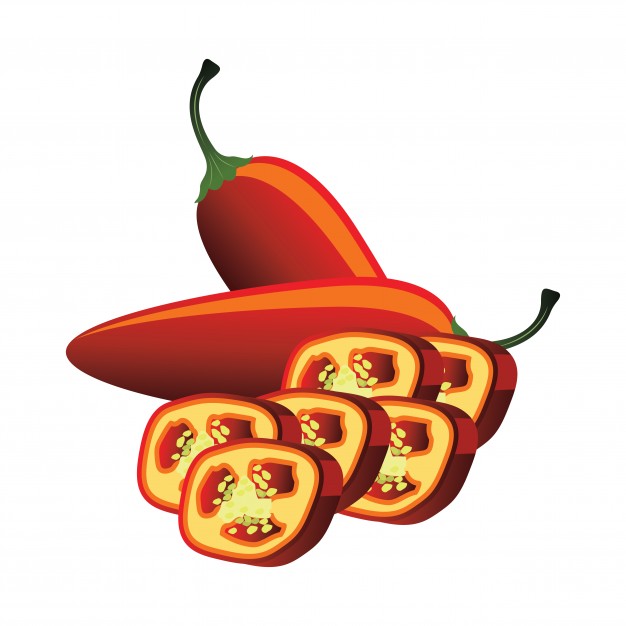 626x626 Slices Of Raw Green Jalapeno Pepper. Vector Illustration Vector