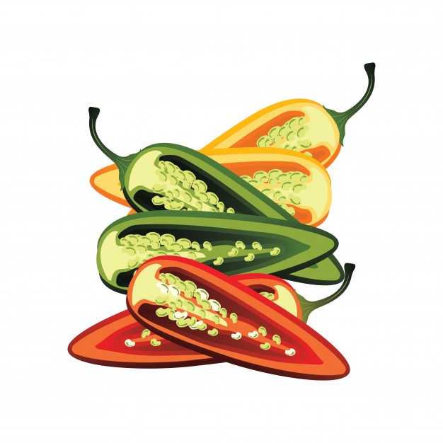 626x626 Slices Of Raw Jalapeno Pepper. Vector Illustration Vector Free
