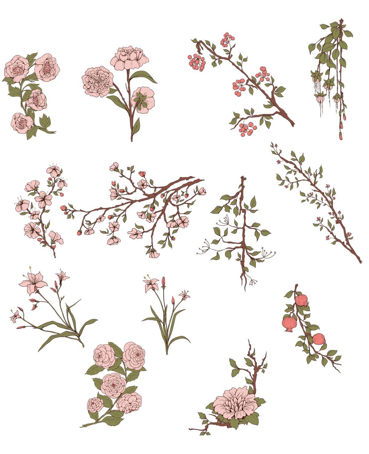 1200x1477 Japanese Sakura Flowers Set Vector Free Download