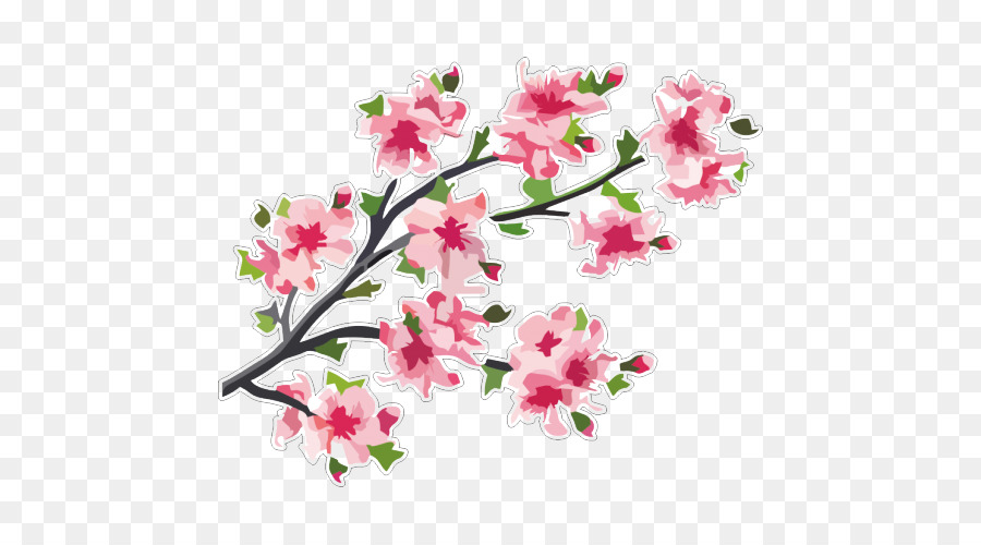 900x500 Japan Cherry Blossom Vector Graphics Branch