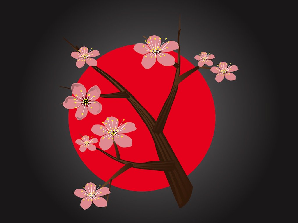 1024x765 Japanese Cherry Blossom Vector Art Amp Graphics
