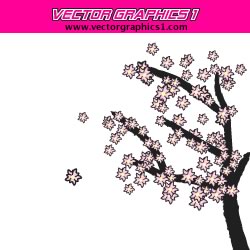 250x250 Japanese Cherry Blossoms Vector Art