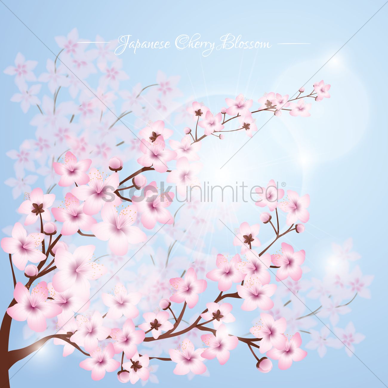1300x1300 Japanese Cherry Blossom Vector Image