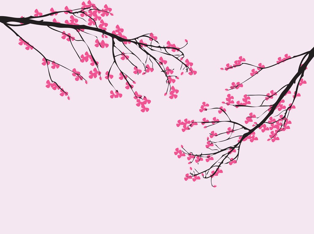1024x765 Vector Cherry Blossom Vector Art Amp Graphics