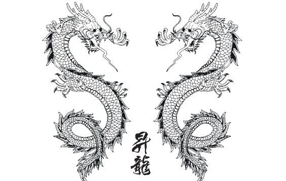 564x357 Vector Japanese Dragon Free Vector Download 174579 Cannypic